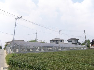 大坪邸太陽光